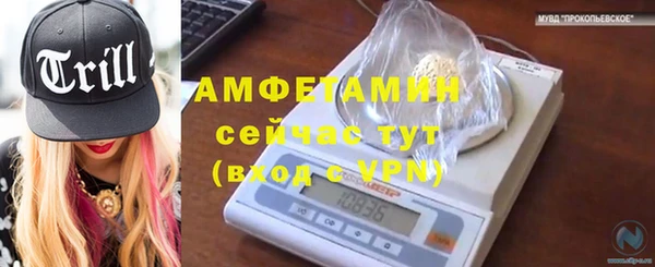 эйфоретик Аркадак