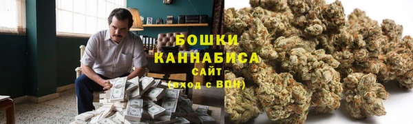 эйфоретик Аркадак