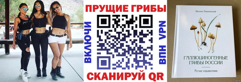 omg маркетплейс  цена   Россошь  Галлюциногенные грибы MAGIC MUSHROOMS 