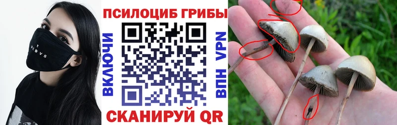 Псилоцибиновые грибы прущие грибы Россошь